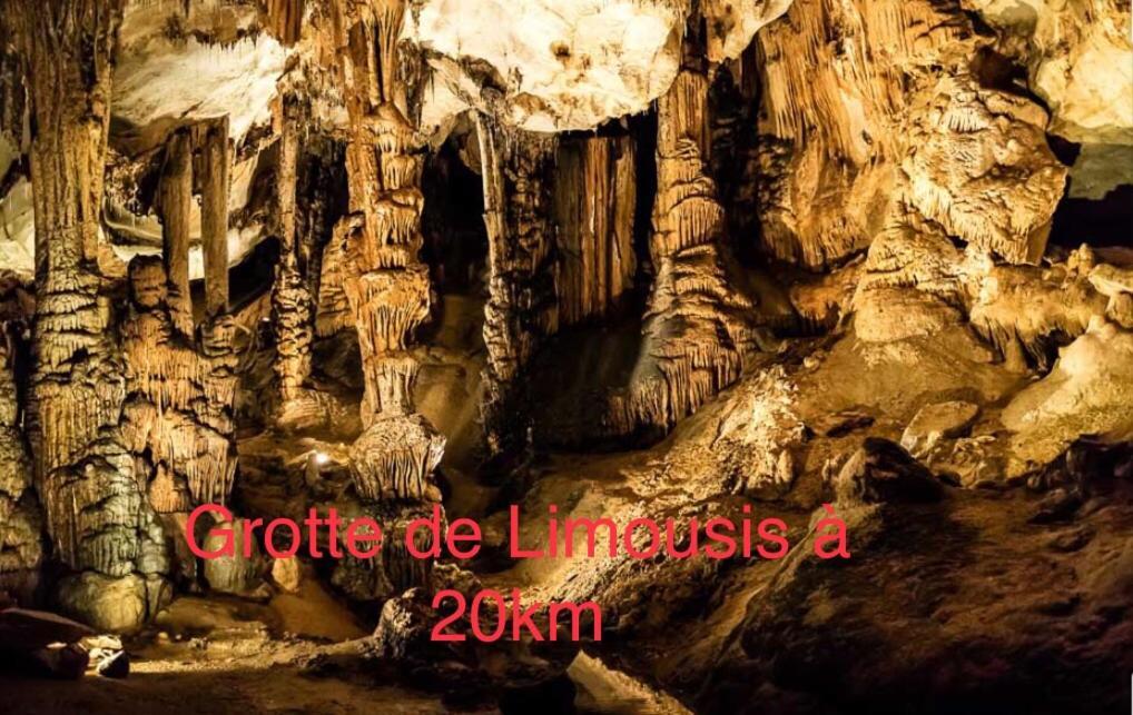 Les Iris Carcassonne Exterior foto
